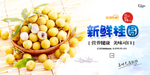 桂圆