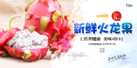 火龙果