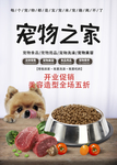宠物