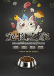 宠物