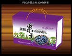 蓝莓果干(分层)