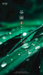 谷雨