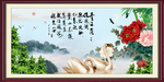天鹅