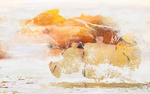 抽象油画