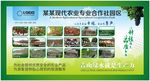 合作社园区