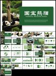 保护动物吃竹子国宝熊猫野生动物