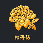 牡丹花