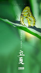 二十四节气立夏微信朋友圈刷屏图