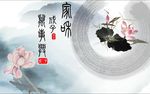 家和万事兴 荷花