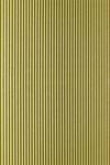 纸