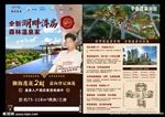 宣传彩页