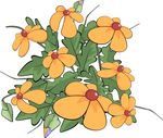花
