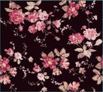 玫瑰花