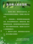 急诊病人就诊流程