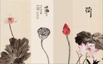 荷韵 荷花