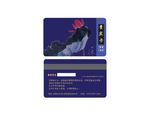 高档贵宾卡