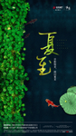 高端地产夏至节气