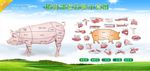 猪肉部位分解分割高清示意图
