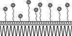 硅藻泥腰线花素材蒲公英欧式花纹