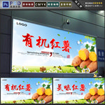 红薯