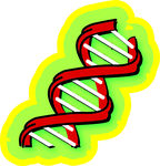 DNA基因 矢量图