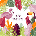 夏天热带植物花鸟树叶芭蕉棕叶