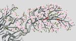 花鸟图