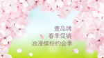 唯美桃花