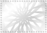 银光闪 特约证书纹