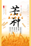 芒种
