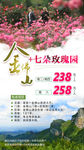 金佛山旅游海报设计