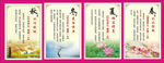 科学养生