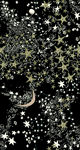星星 月亮