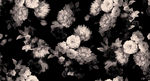 手绘花