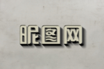 立体LOGO样机
