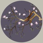 中式花鸟