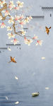 玉兰花海报