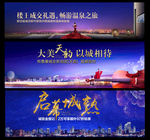 提琴 花瓣 绽放