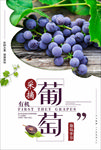 葡萄