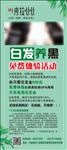 养生养发展架