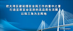 粤港澳大湾区发展