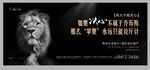 黑金狮子人物情景