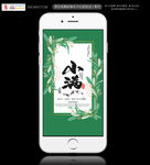 小满节气手机海报