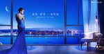湖景 豪宅 地产 广告