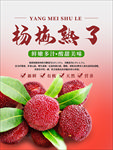 新鲜杨梅水果宣传海报