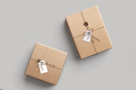 牛皮纸礼盒包装样机