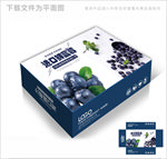 进口蓝莓高档包装箱包装盒设计