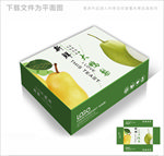 绿色甜梨简约包装箱包装礼盒设计