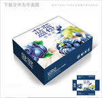 蓝莓盒子包装箱包装礼盒设计