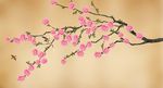 中式花鸟
